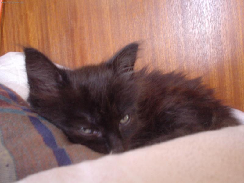 Foto: nechte mě spát