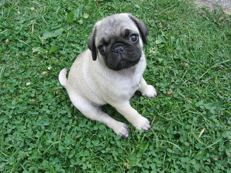 Foto: Koukající John