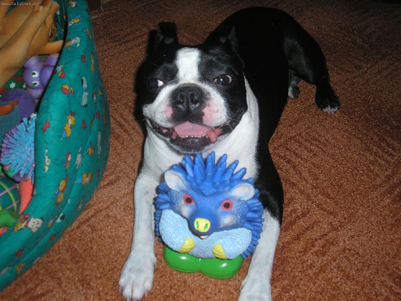 Foto: Moje nejmilejší hračka
