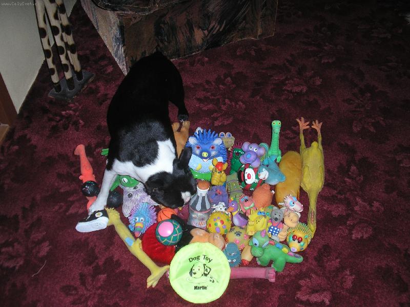 Foto: Najdeš mě v mém království?