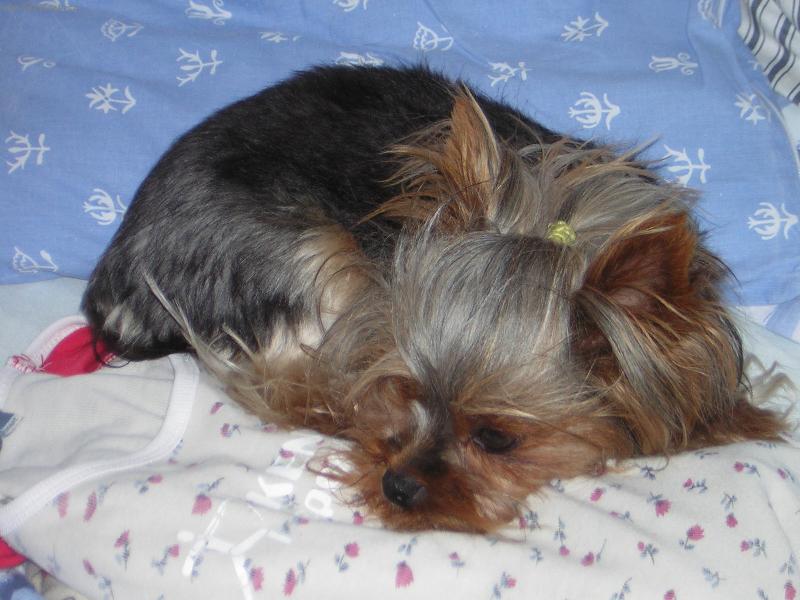 Foto: Týnka-"Nebudeš balit na tábor! Ne a ne!!!"