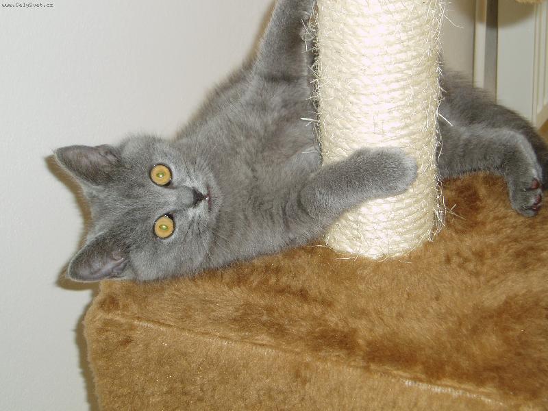 Foto: Klidně si mě vyblejskni :)