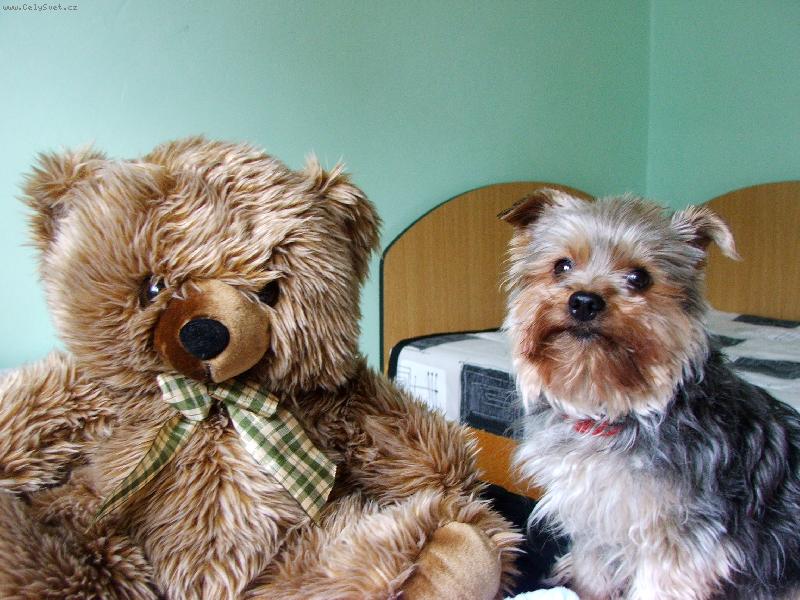 Foto: Buddy-Buddy s kamarátom