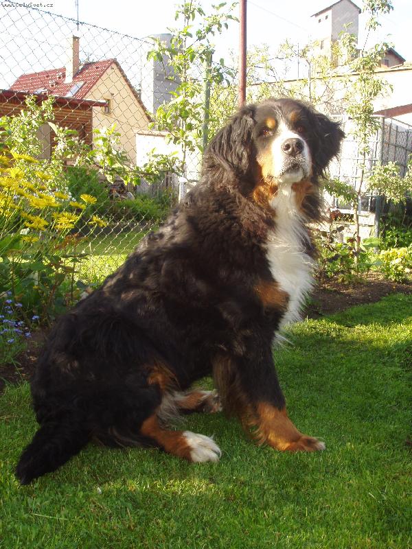 Foto: můj miláček