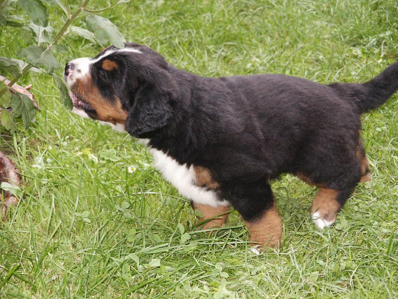 Foto: Náš malý Bertíček