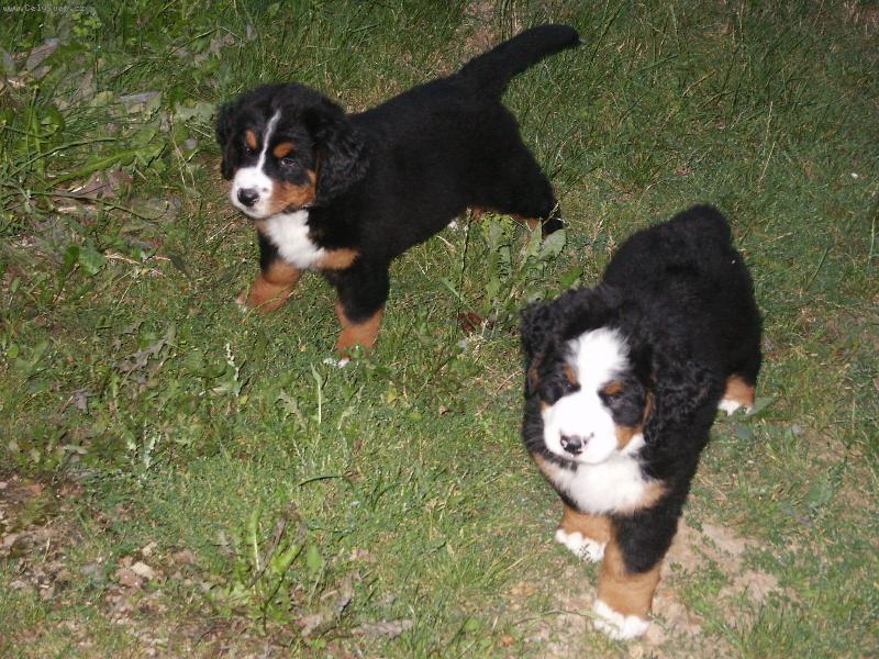 Foto: Bráškové...ale ne moc podobní