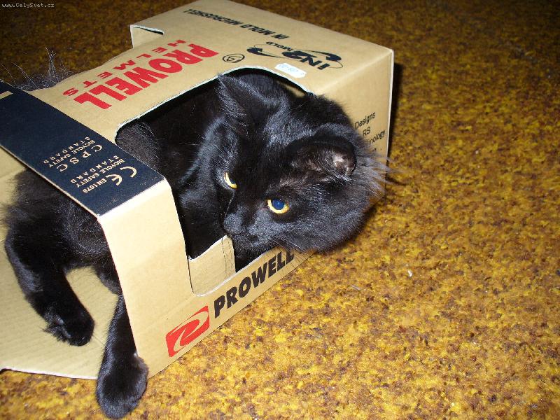 Foto: Mikeš-Tu krabici z přilby mi nechte !!!!