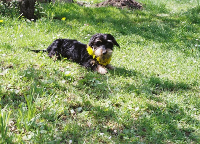 Foto: eliška-trochu jiná luční víla