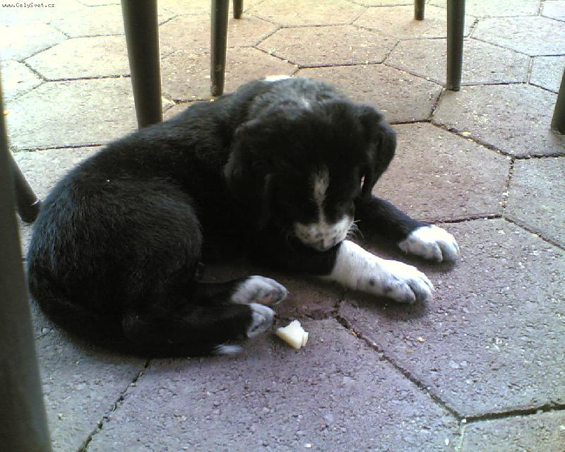 Foto: nelinka-vem mne prosim sebou