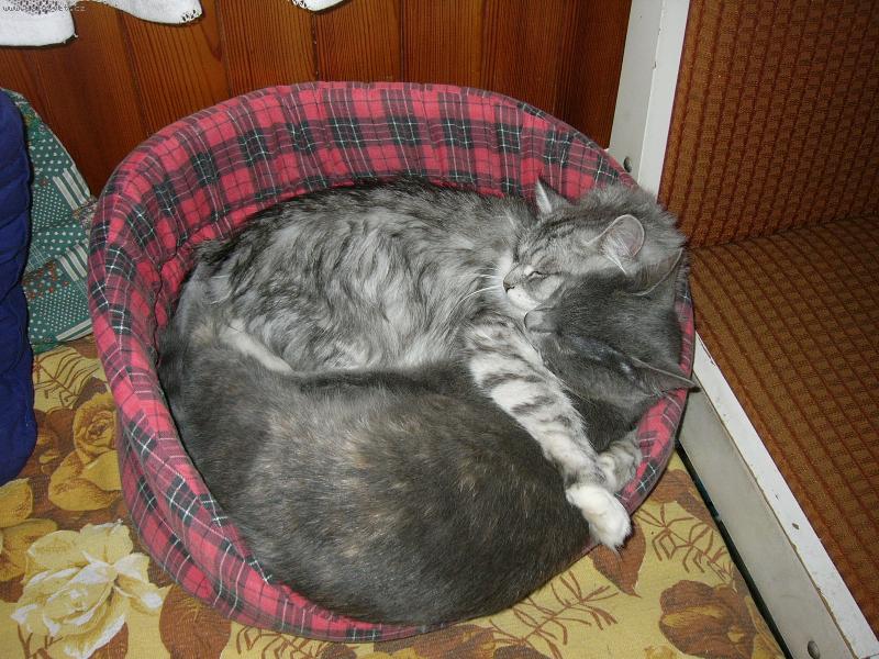 Foto: "Láska je láska"-Nejdřív jsem tě nenáviděla, ale teď tě nikomu nedám!