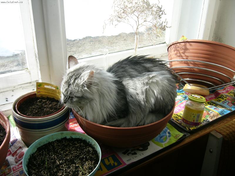 Foto: Možná taky vykvetu.-Co k tomu dodat?