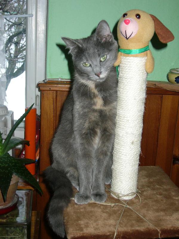 Foto: Jak se Vám líbím?-Jsem sice vořech, ale taky umím být dáma!