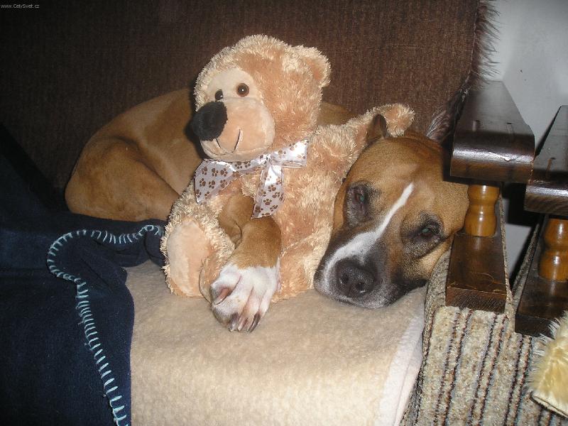 Foto: Nejlepší kámoši