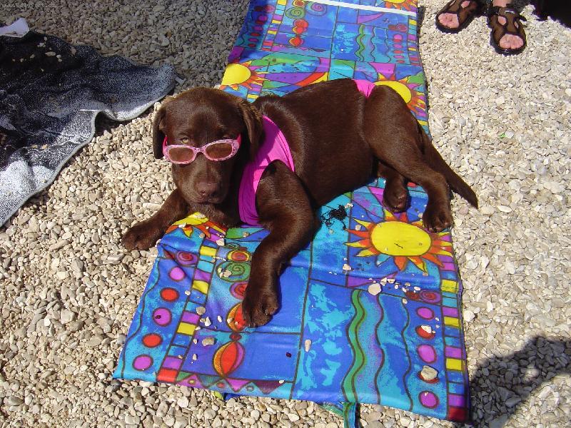 Foto: Dovolená na pláži Hershey!!!-Hershey u moře!!!!!Ach ta nuda!!!!