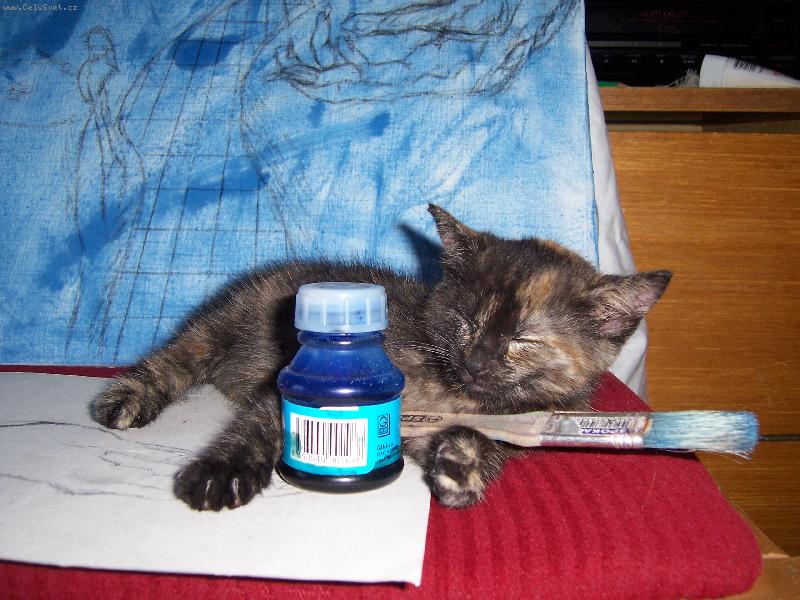 Foto: znavený malíř