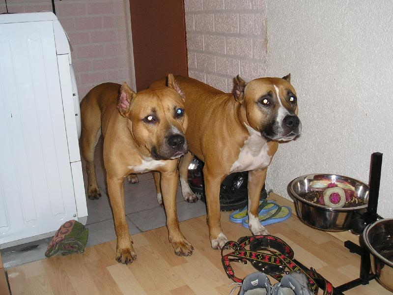 Foto: Už můžem dál ?