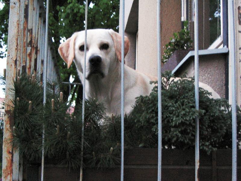 Foto: Samíček-Bydlím ve Valdicích :o)