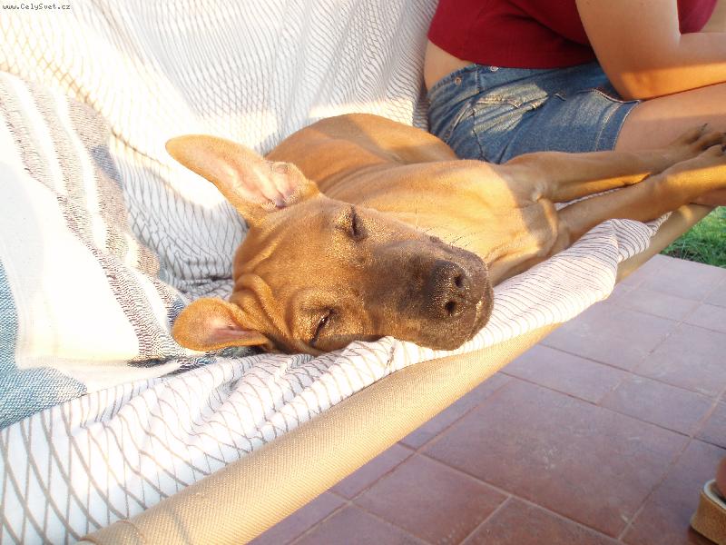 Foto: Na houpačce-Odpočinek na terase