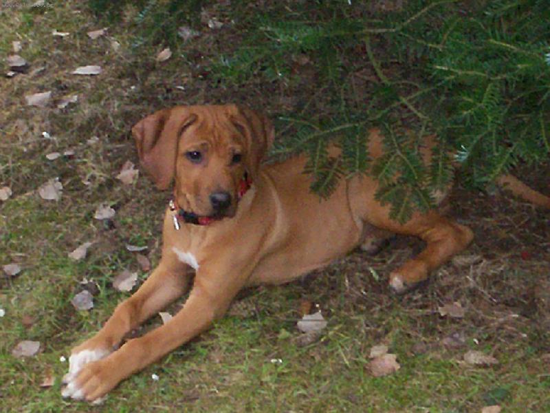 Foto: Letní relaxace-Odpočinek