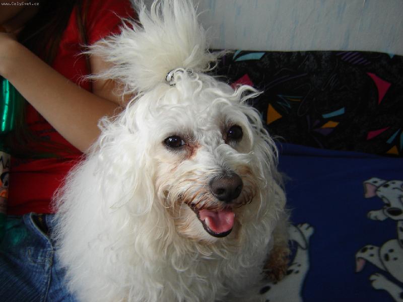 Foto: Deýsek-to sem fešák.......já sem kluk a mám culíček...