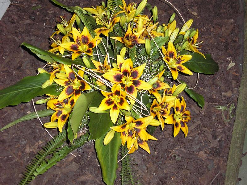 Foto: no nejsou prekrasné?