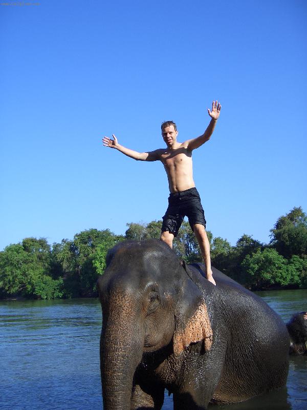 Foto: na slonici při koupání slonů v řece (Thajsko -Kanchanaburi )