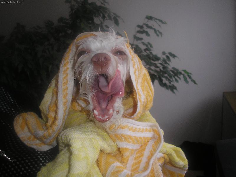 Foto: Už zase bych spala