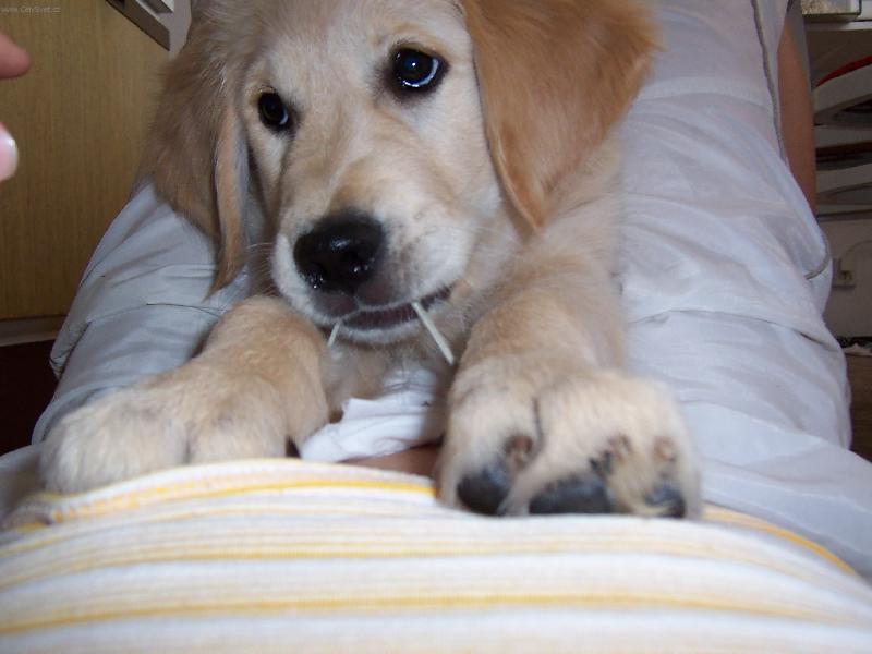 Foto: šňůrky jsou stejně nejlepší :-D