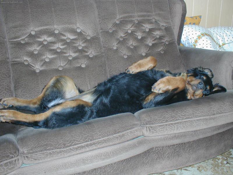 Foto: Sany-To je ale paráda, tak jsem si to představovala....