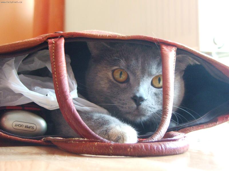 Foto: Odpolední siesta