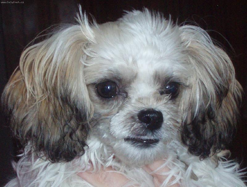 Foto: Úsměv-Záhadný jako Mona Lisa