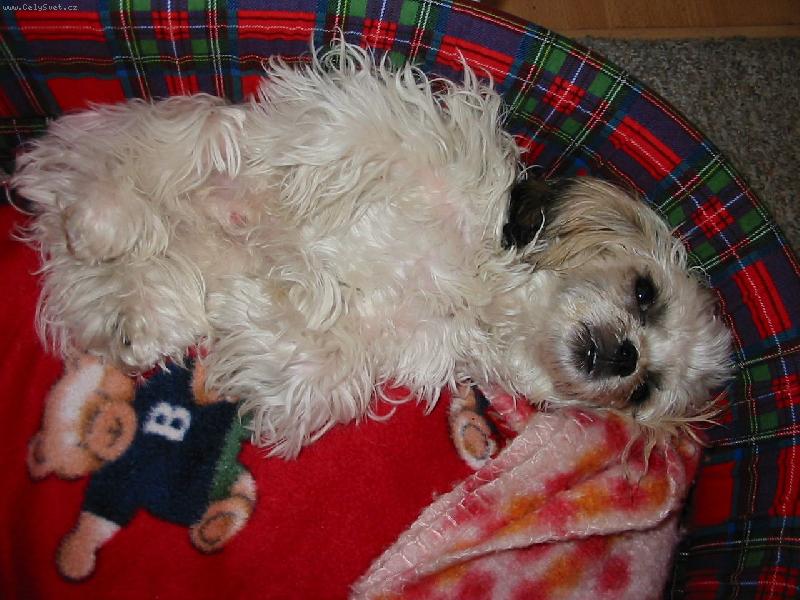 Foto: Když je teplo-Když je moc teplo