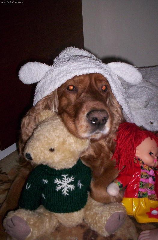 Foto: maskovat se-Lekce 2.:Maskovat se je důležité....