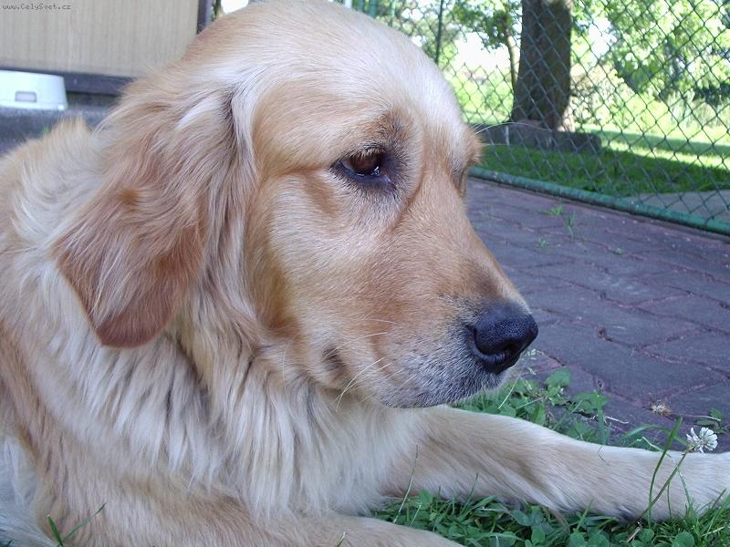 Foto: Fotomodelka-no tak už toho focení nech:-)