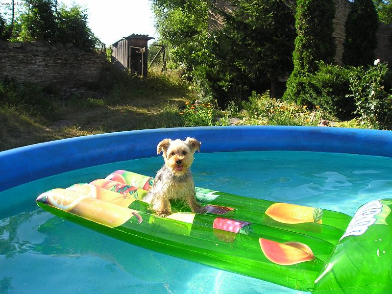 Foto: to vedro se neda vydržet........