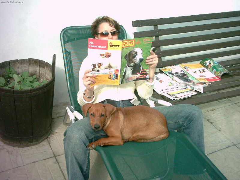 Foto: pohoda v týmu