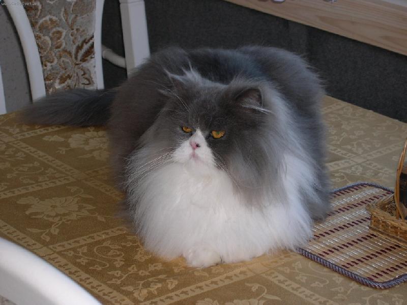 Foto: Matýsek-Matýsek Odpočívá