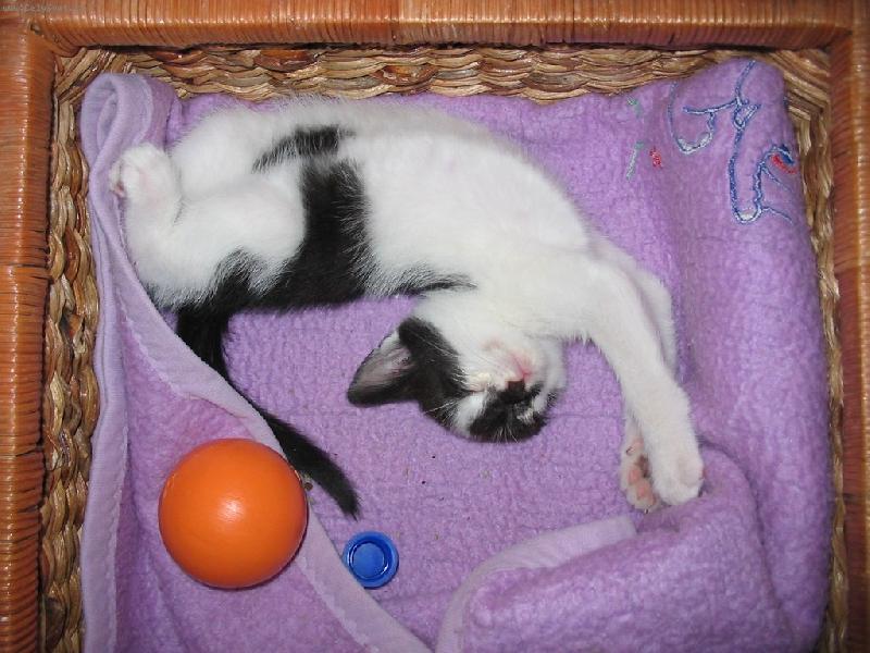 Foto: Sladké spaní