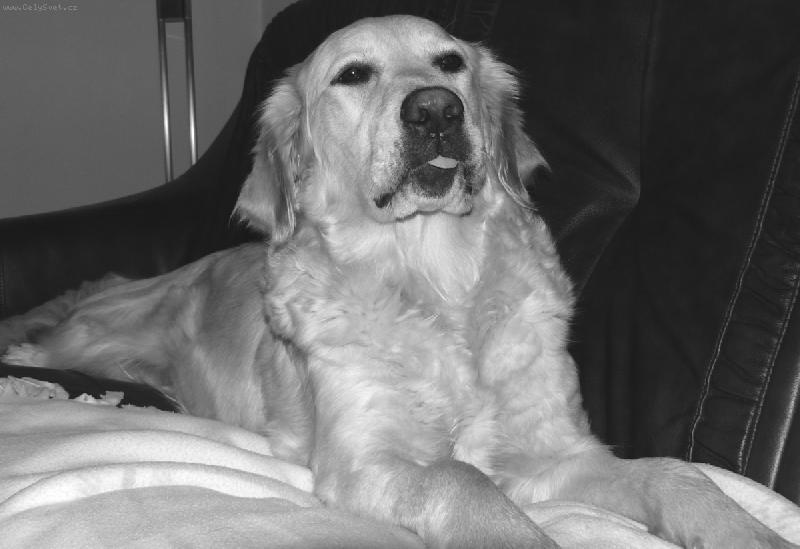 Foto: naše malá Eminka