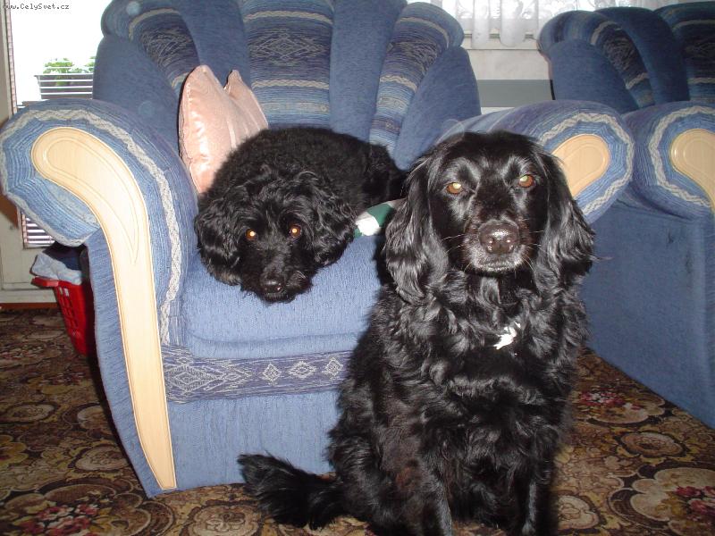 Foto: Táta s dcerou-Táta s dcerou