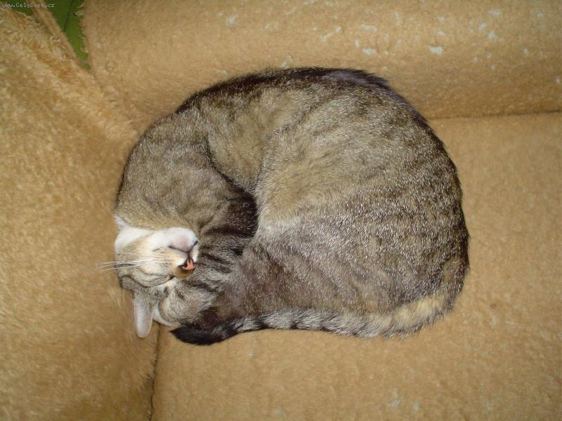 Foto: Hajá-Nerušit...