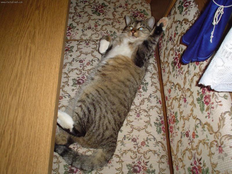 Foto: Pá pá-pá pá...