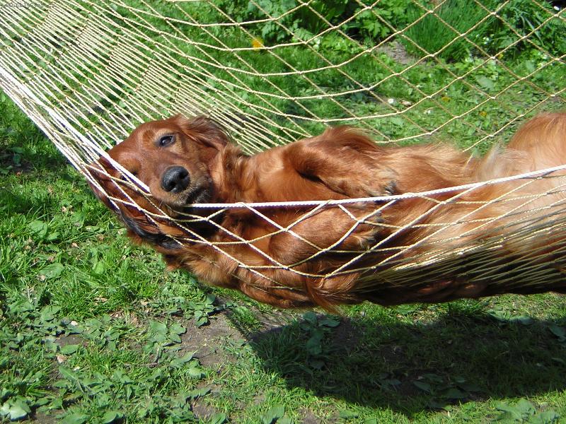 Foto: Naše Betty-To je pohoda