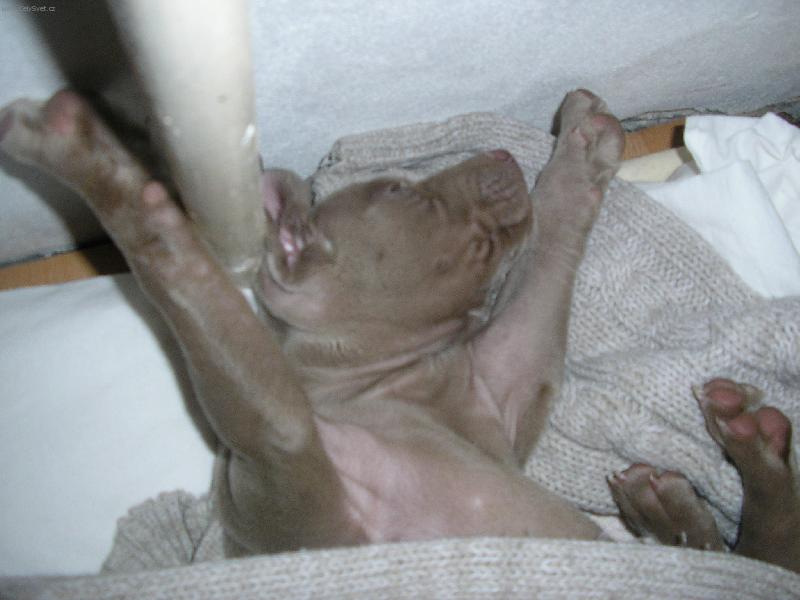 Foto: Relax-Ležící,spící