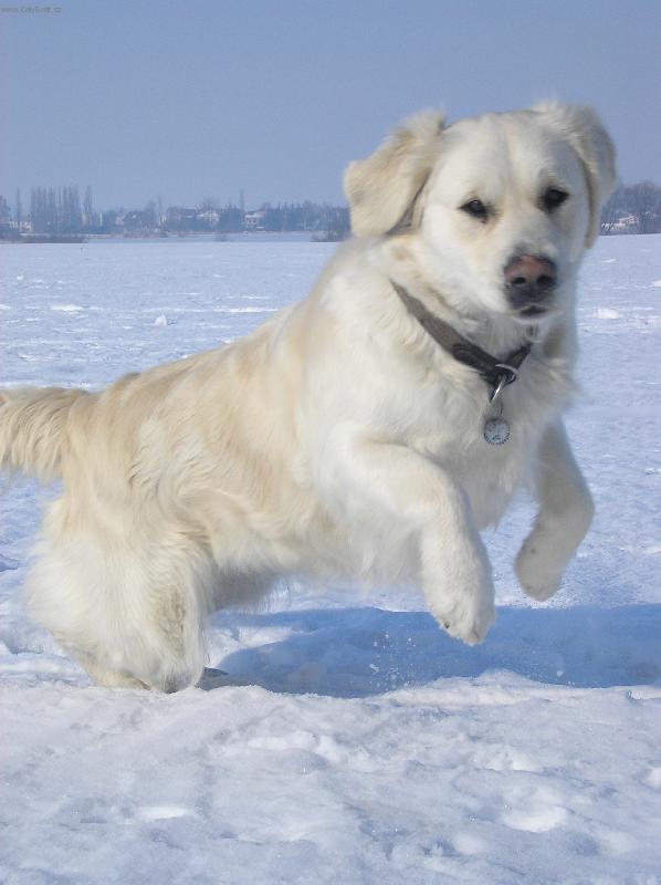 Foto: ÁÁÁÁÁ HOOOP-Už letim!!!!