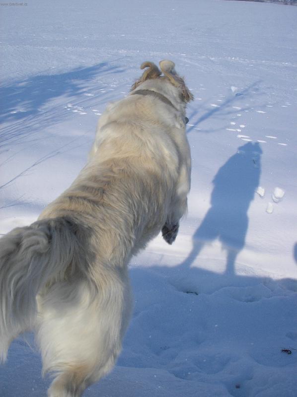 Foto: Hop-Srulovaný ouška, super rychlost a tmavý kamarád předemnou :o)