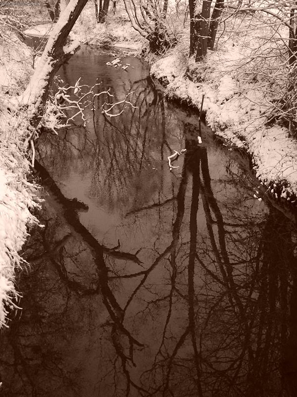 Foto: �eka Lu�ina