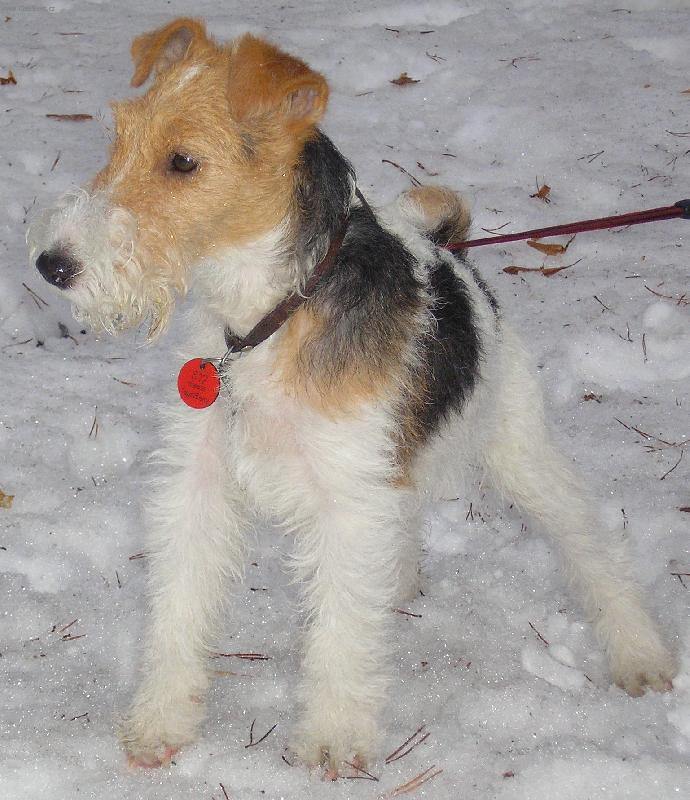 Foto: ...vždy v strehu