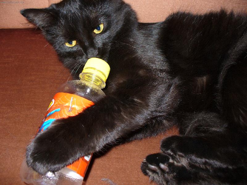 Foto: Mikeš-Jak to jen ti lidé otvírají !!!