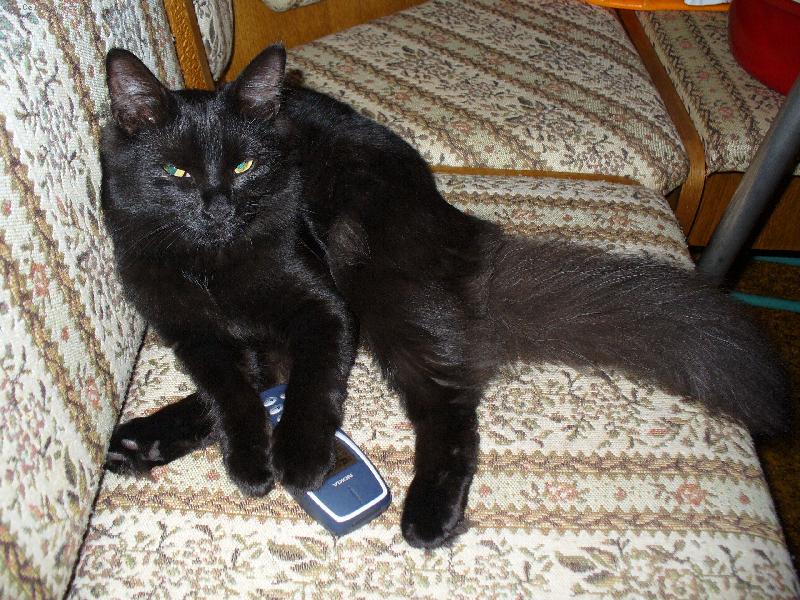 Foto: Mikeš-Mohu si zavolat ???